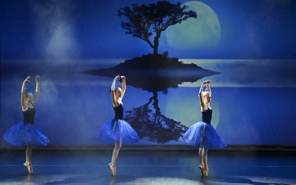 Foto: Robert Jansson