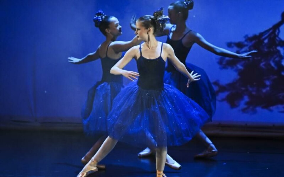 Foto: Robert Jansson