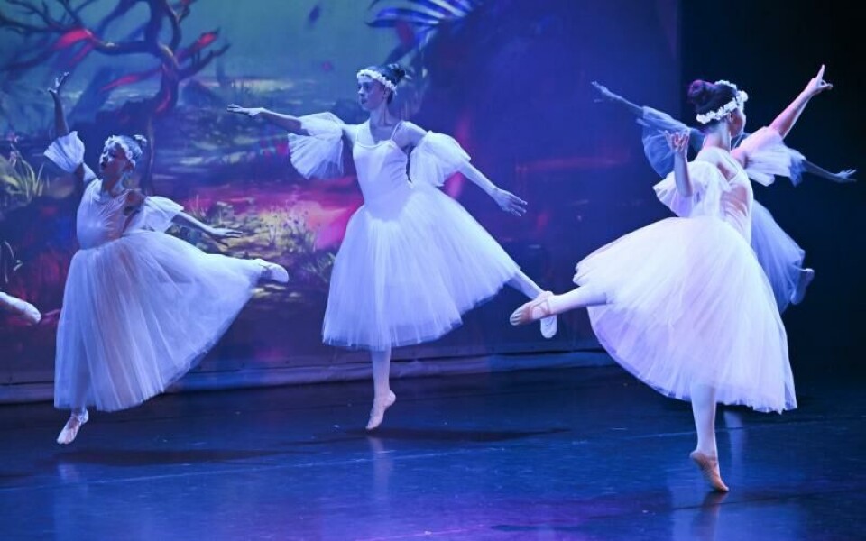 Foto: Robert Jansson