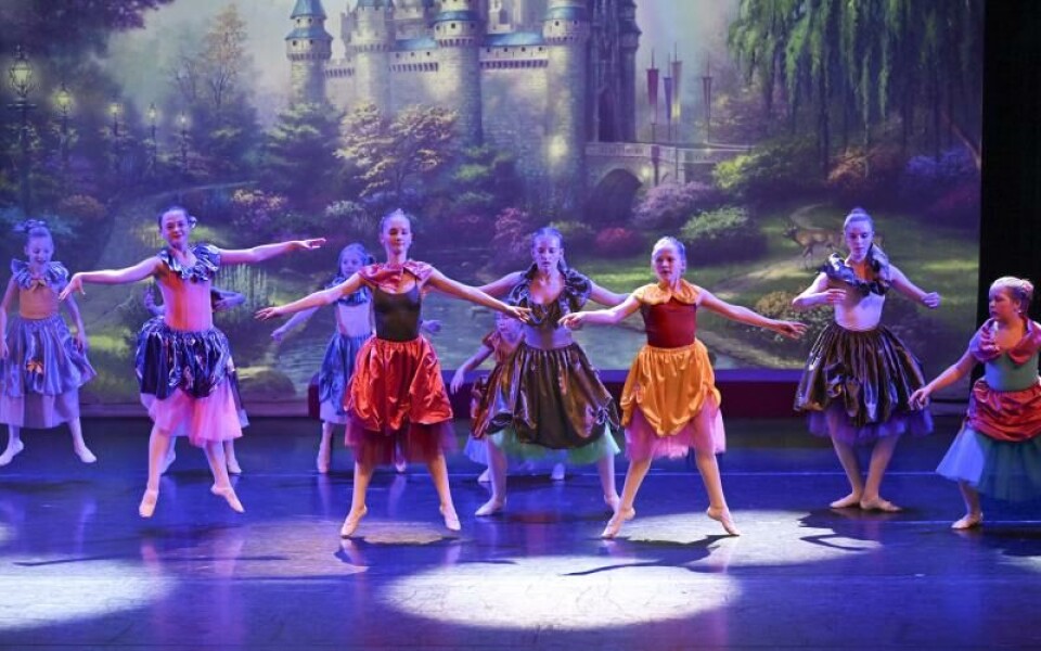 Foto: Robert Jansson