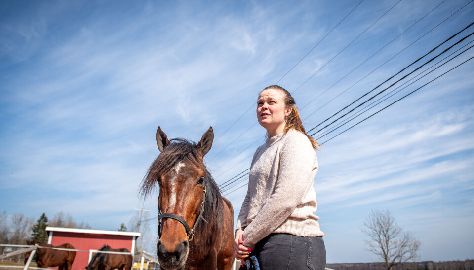 Emma L Eriksson och Who's That Girl foick med sig prispengar från Bollnästravet.