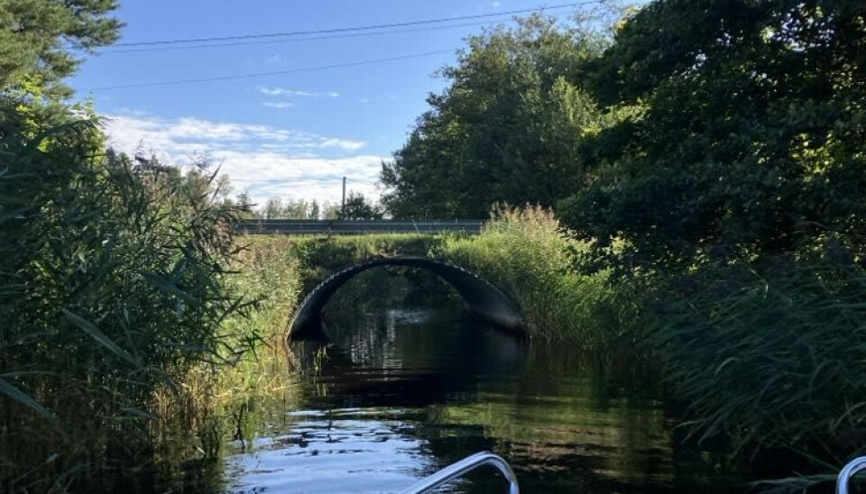 Så här ser den nuvarande rörbron ut. Den nya trumman ska ha en teknisk livslängd på 80 år.