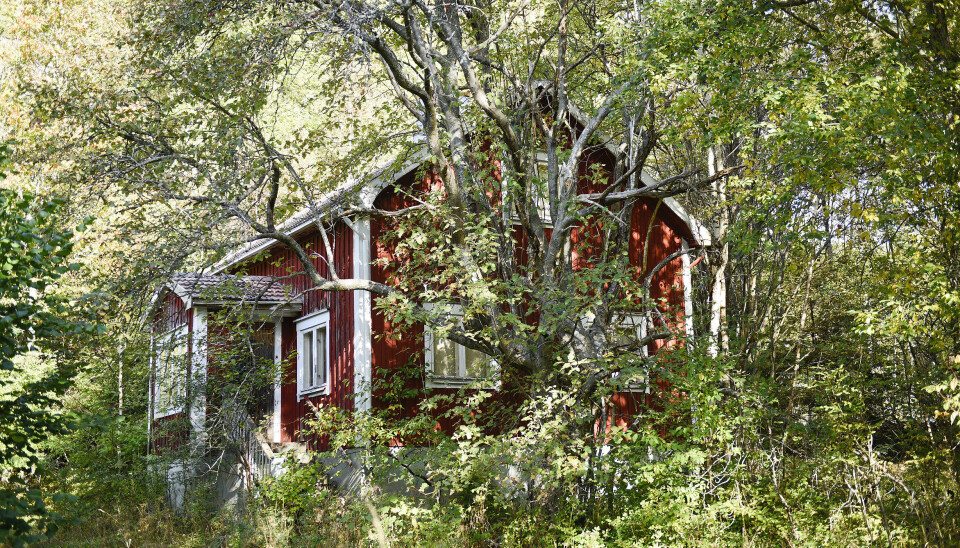 Sunds kommun öppnar för en försäljning av Furumo.