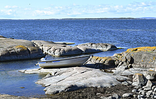 Skärgården vill vara med och utforma skärgårdslag