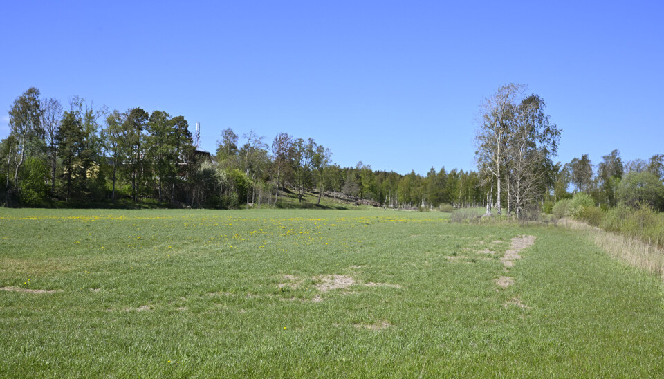 Den här platsen i närheten av Berghyddan är tilltänkt för det nya äldreboendet.