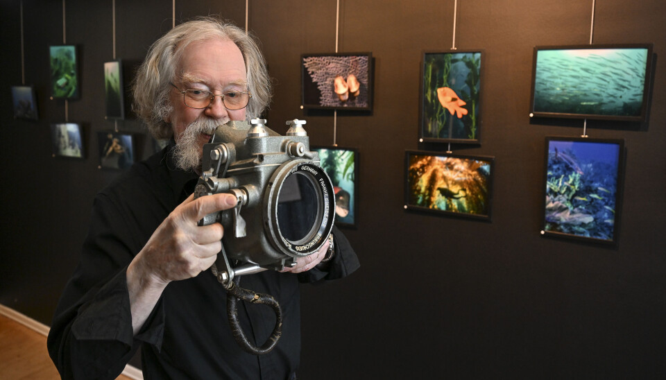 På söndag bjuder Olle Strömberg in till dubbelutställning på Fotografiska museet med bilder av bilar och undervattensmiljöer.