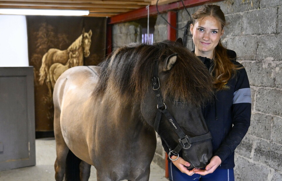 Helmi Lindqvist och Girla från Storön tog tre guld i FM för islandshästar samt får rida i Helsinki Horse Show i vinter.
