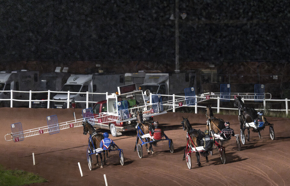 Galopp på nytt för Upcoming Surprise