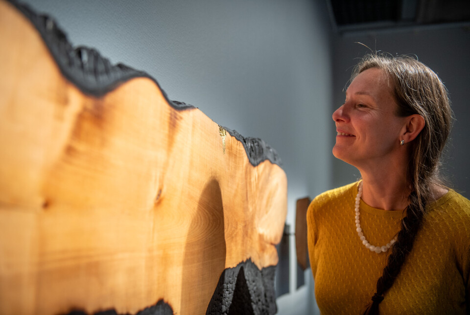 Minna Öberg med ett av sina verk. Skavankerna i det brända träet har hon fyllt med bladguld.