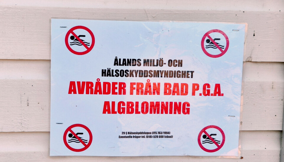 Giftiga blågröna alger har blommat upp i vattnet vid Lilla holmen.