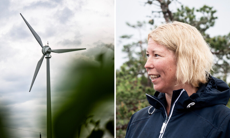 Med Gideon på väg bort, Fursten redan borta och Svea kvar ett tag till, går Pettbölebergen in i sin andra vindkraftsgeneration, berättar Cecilia Jansson, styrelseordförande i Pettböle Vind.