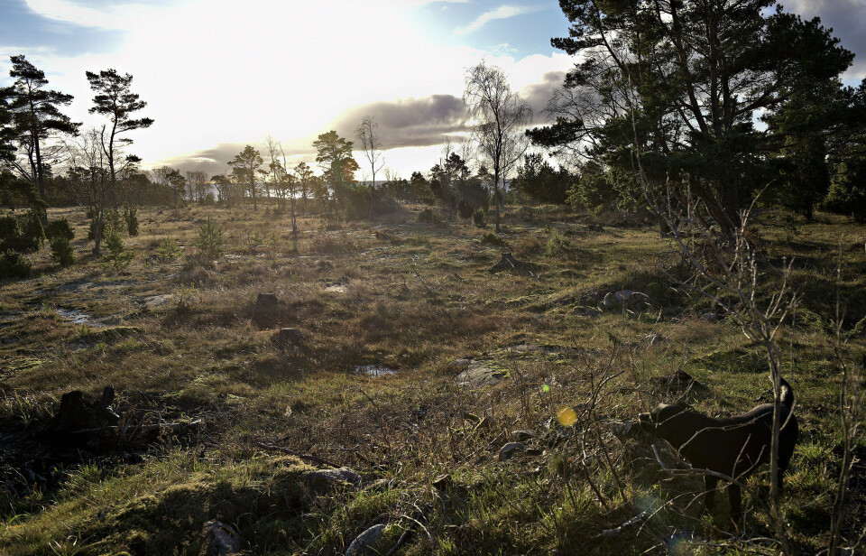 Hur motivera åtgärderna för att binda våra utsläpp?
